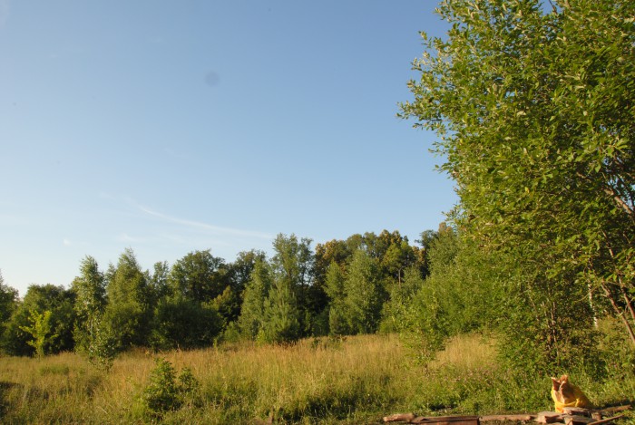 DSC_8233.JPG
