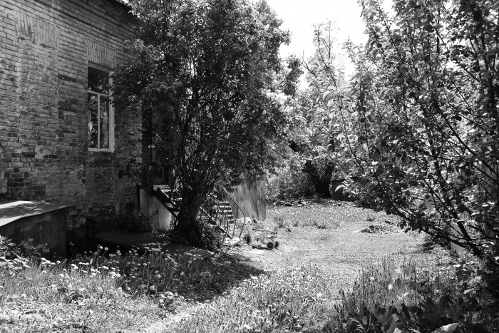 05.jpg