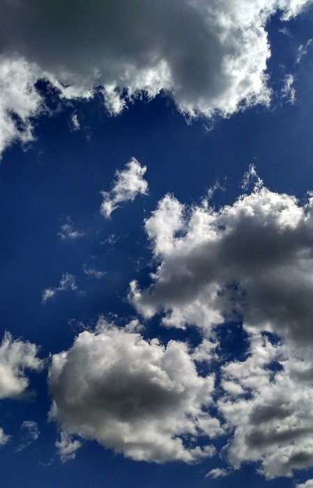 IMG_2017-06-07_133527_HDR.jpg