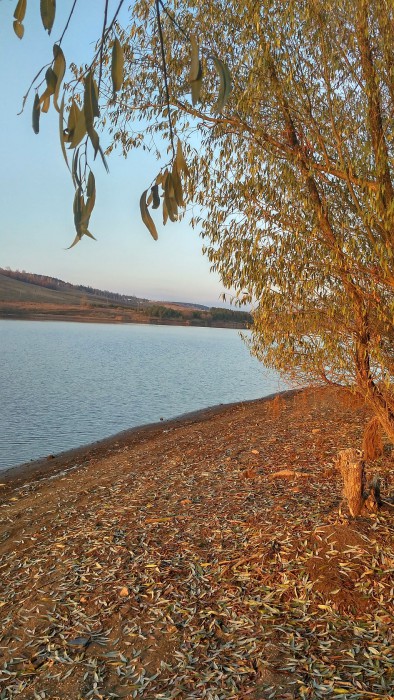 IMG_2016-10-27_151911_HDR.jpg