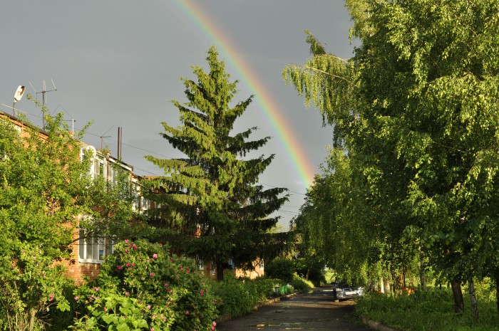 _DSC9580.JPG