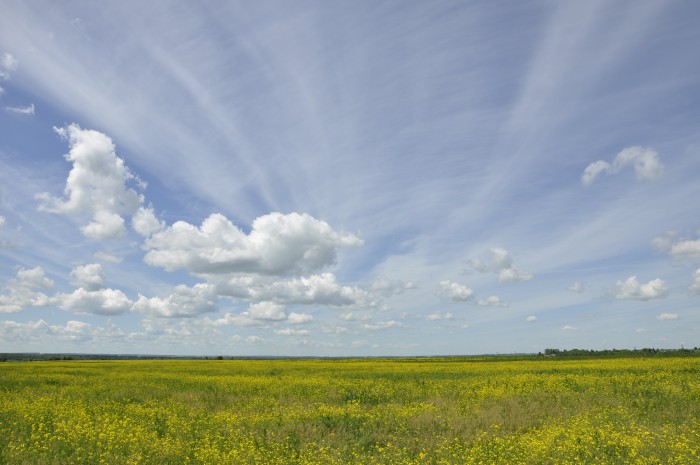 _DSC9630.JPG