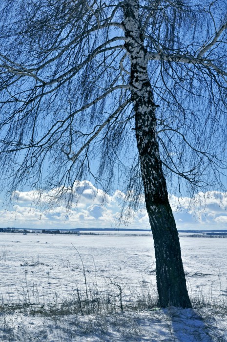 _DSC0798.jpg