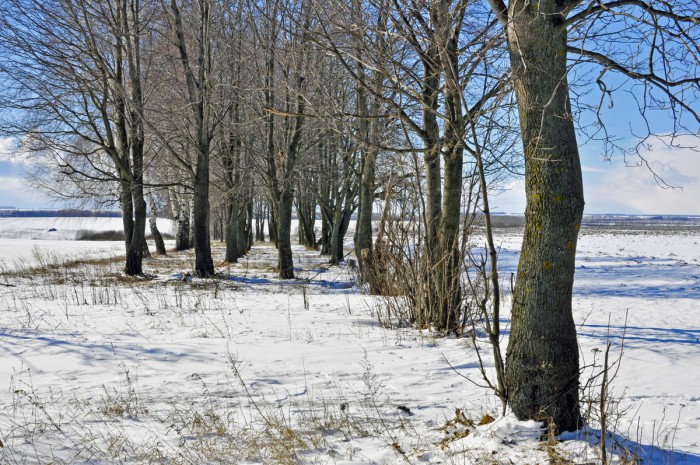 _DSC0799а.jpg