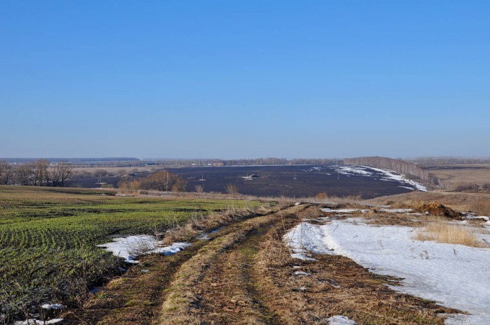 DSC_1269.JPG