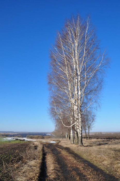 DSC_1235.JPG
