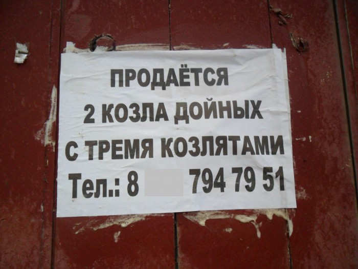 IMG_0042-27-06-17-10-35.JPG