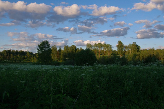 IMGP0523.JPG