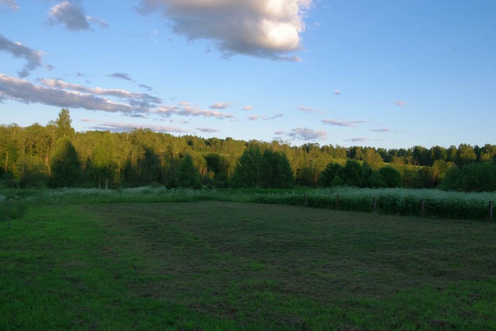 IMGP0530.JPG