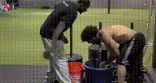 video.gif