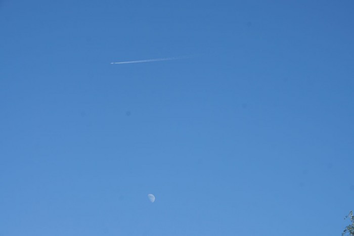 DSC06737.JPG