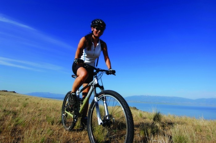 istock_000001788507large-700x464.jpg