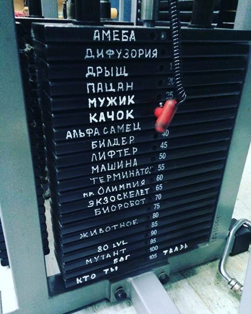 тренажёр.jpg