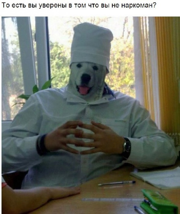 maxresdefault.jpg