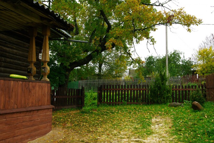 IMGP6595.JPG