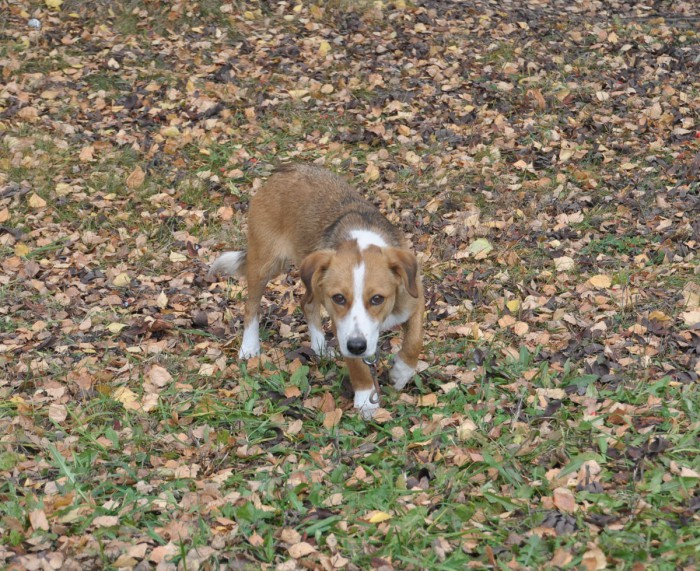 DSC_5023.JPG