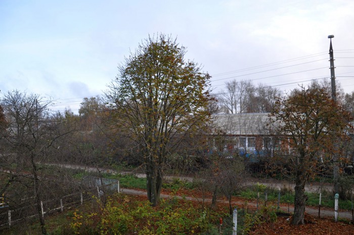 DSC_5022.JPG