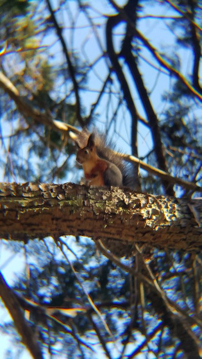 20161003_142446.jpg