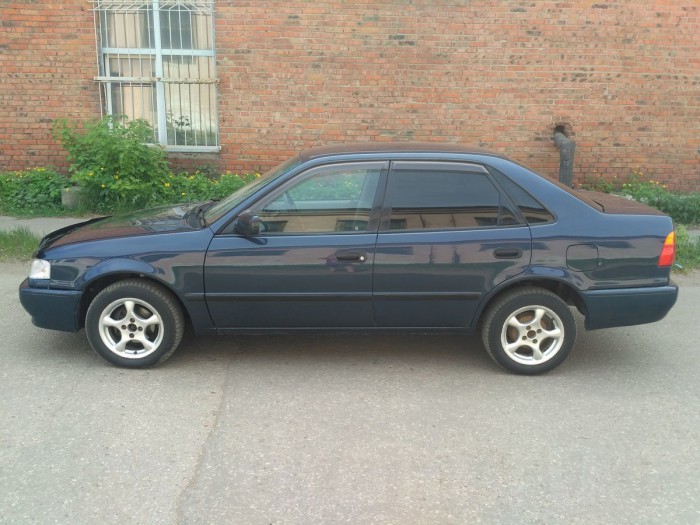 gen1200_210389484.jpg