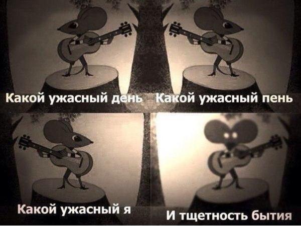 1443471402227433381.jpg