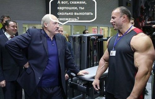 1448882082_memy-pro-kachkov-7.jpg