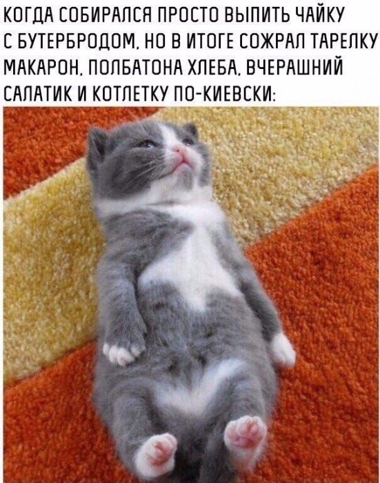06.jpg