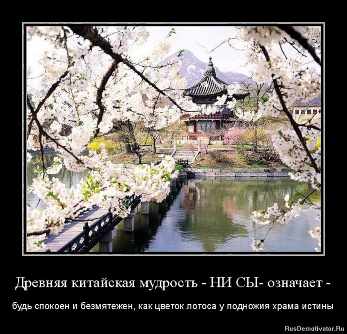 image.png.4.jpg