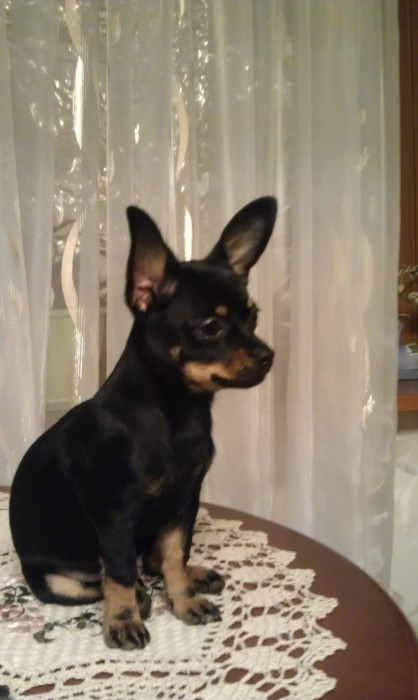 IMAG0116.jpg