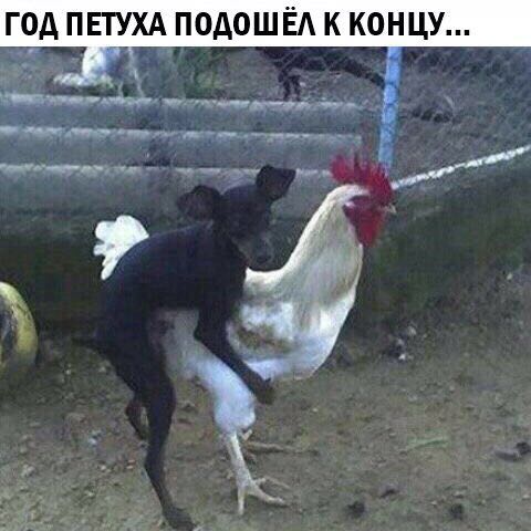 SAVE_20171230_202051.jpeg