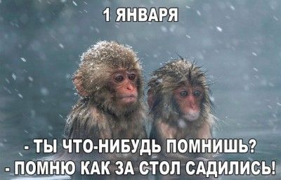 1января.jpg