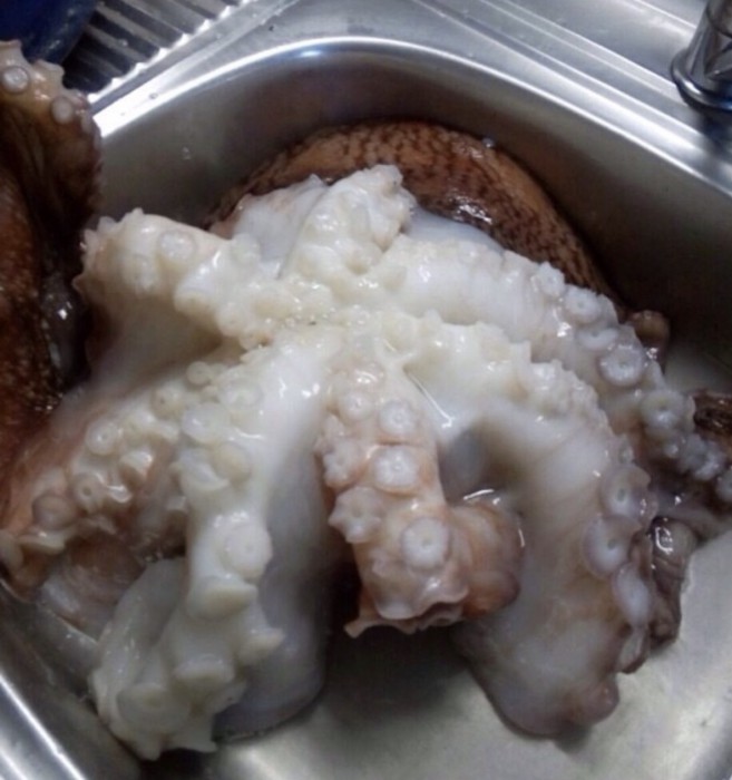 AD727742-D4A7-4FD1-9245-23DD82AED6EC.jpeg