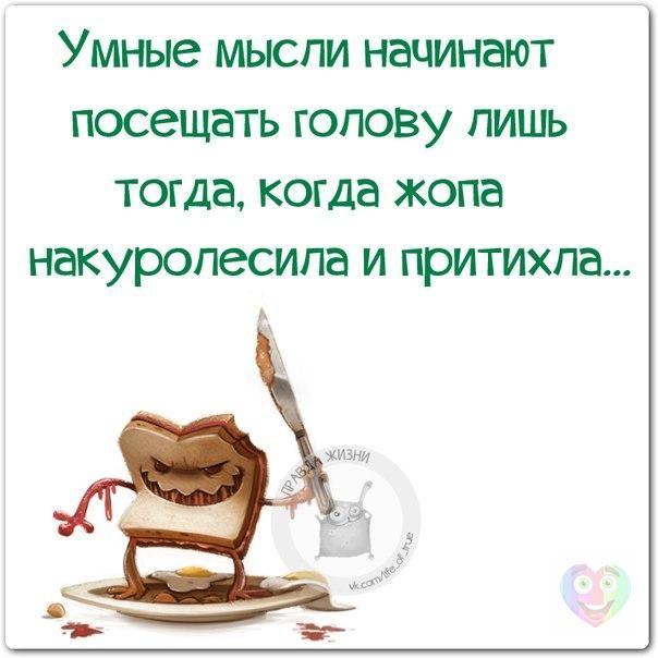 жж.jpg