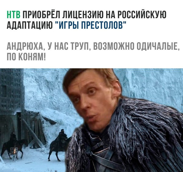 10087781.jpg