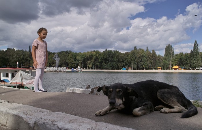sized_SDIM5771.JPG