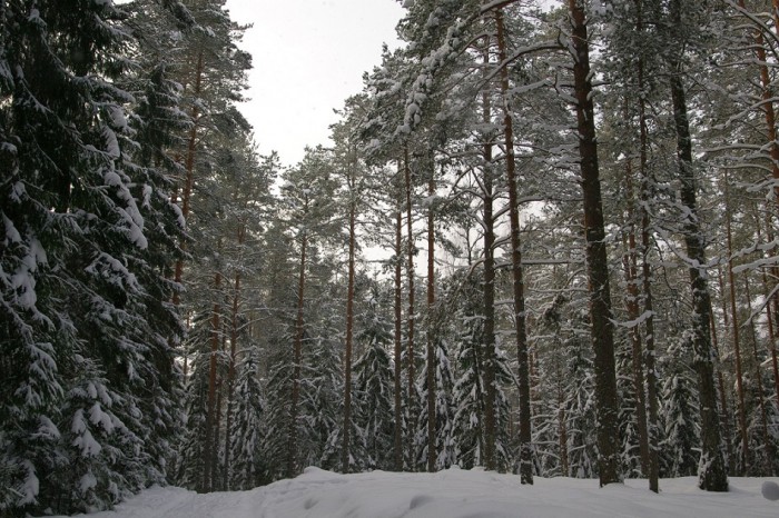 и5.jpg