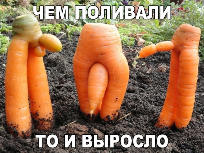 03.JPG