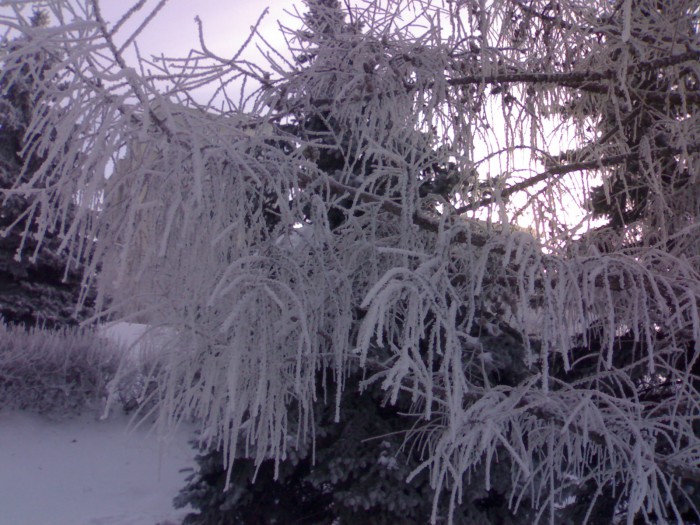 280120131012.jpg