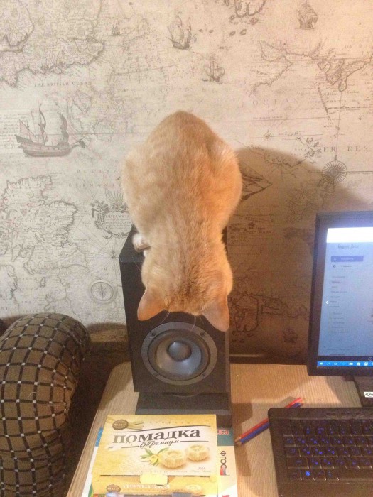 image.jpg