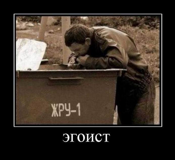 1501829778_demki-3.jpg