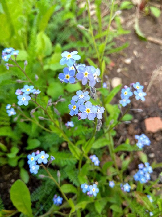 IMG_20180603_101606_HDR.jpg