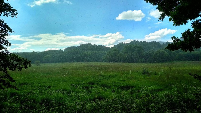 07.jpg