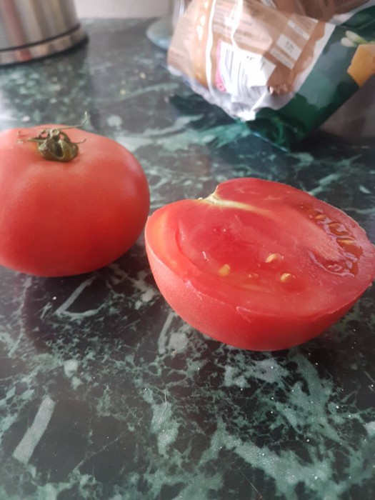 помидор.jpg