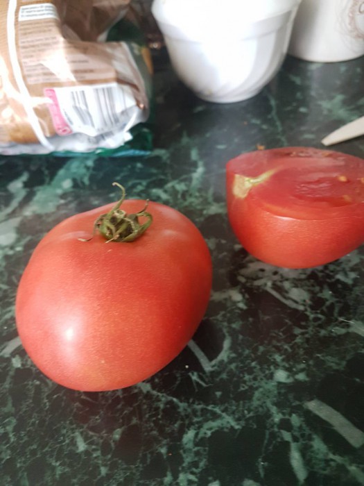 помидор1.jpg