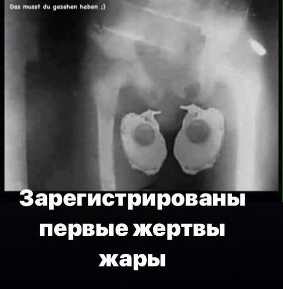 01.JPG