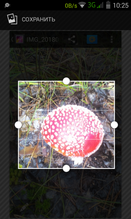 Screenshot_2018-09-11-10-25-13.png