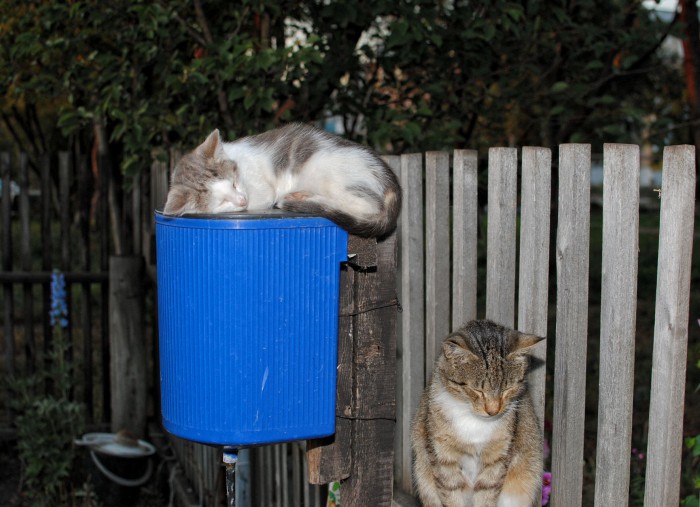 DSC_1291.JPG