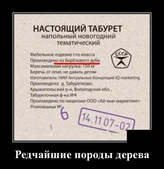 04.JPG