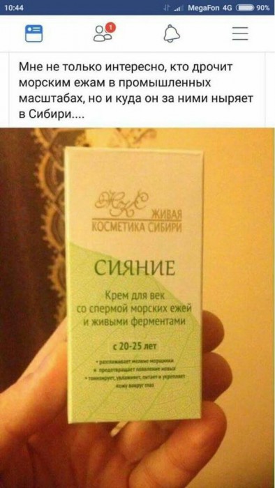 03.jpg