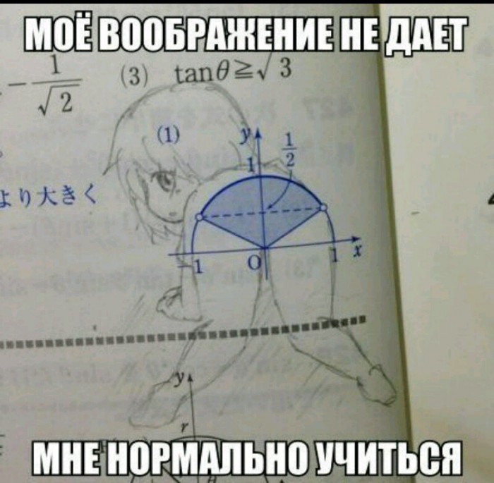 02.JPG