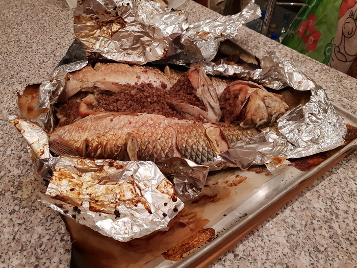 20181110_231029.jpg
